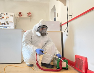 Residential Pest Control in Toronto