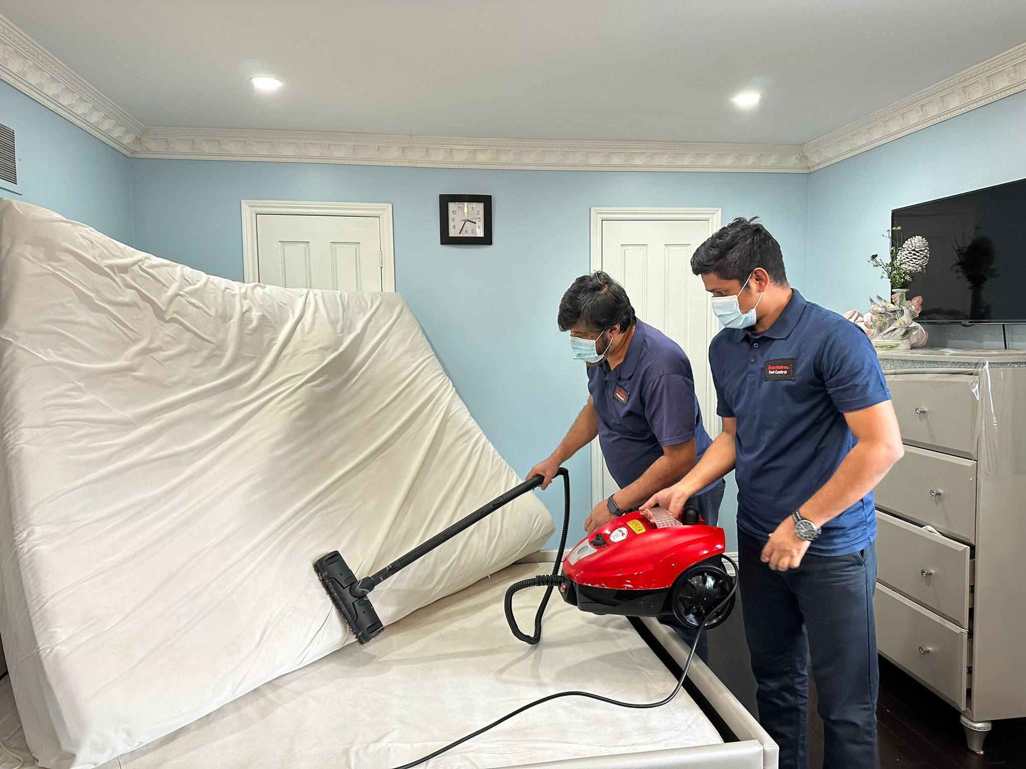 Pest Control Service in Toronto ON | Fast Same-Day Service